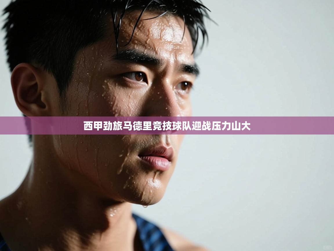 西甲劲旅马德里竞技球队迎战压力山大 第2张