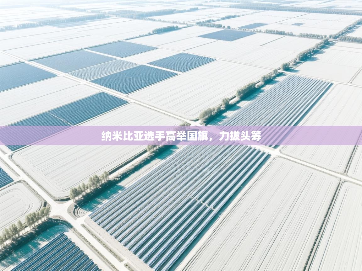 纳米比亚选手高举国旗，力拔头筹  第1张