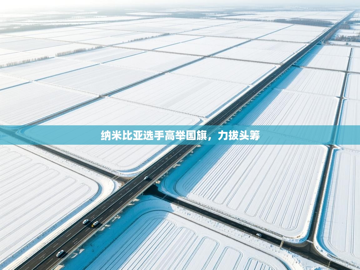 纳米比亚选手高举国旗，力拔头筹  第2张