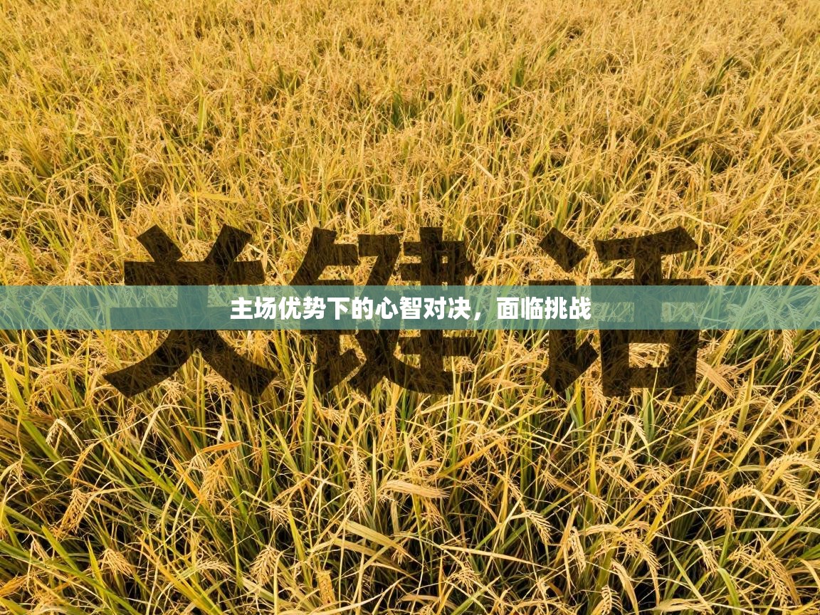 主场优势下的心智对决,面临挑战 第1张